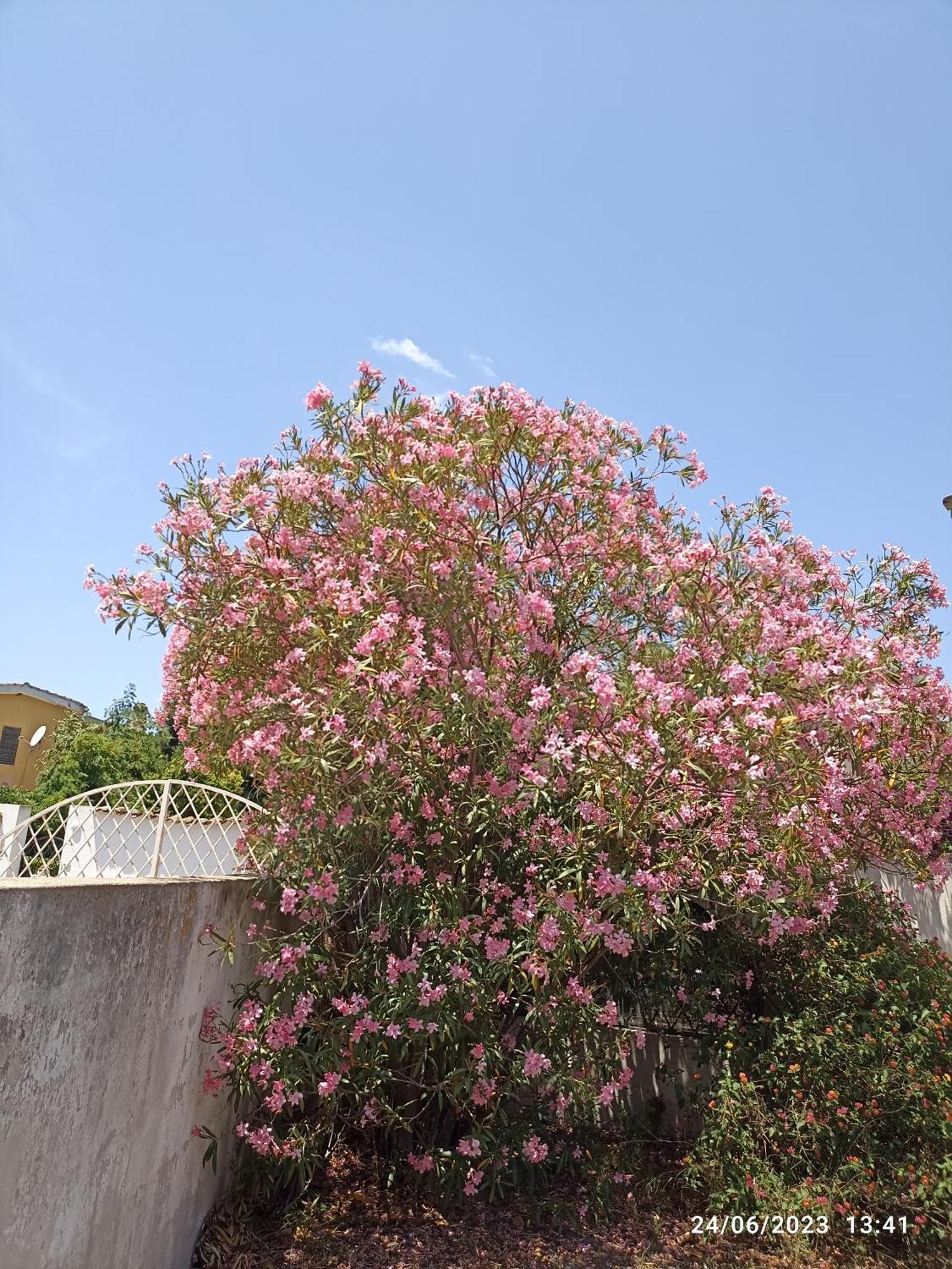 Villa WILLIAM Quartu SantʼElena Esterno foto